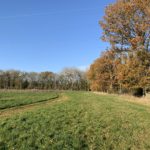 Autumnal photo of a meadow with oak trees around the perimeter.