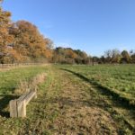 Autumnal photo of a meadow with oak trees around the perimeter and a bench in the foreground.