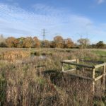 Autumnal photo of a pond in a meadow with oak trees in the distance and saplings in the foreground.