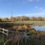 Autumnal photo of a pond in a meadow with oak trees in the distance.