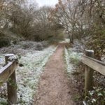 Photo of a frosted bridge leading to a woodland pathway.