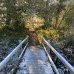 Photo of a frosted bridge with sunshine streaming through the trees ahead.