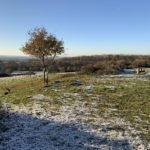 Photo of a hillside with frost on the ground and distant views.