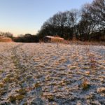 Photo of a hillside with frost on the ground and two pill boxes on the top of the hill.