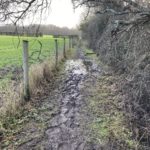 Photo of a rather narrow, muddy path.