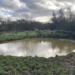 Photo of a rather muddy looking round pond.