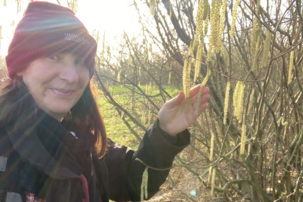 Photo of Warden Nicky looking at catkins at Rooks Nest Wood.