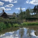 Photo of a view across a pond to a pub on the other side.