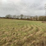 Photo of a sloping field with mown paths and a pylon carrying overhead wires.
