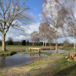 Photo of a water jump at Tweseldown, the pond is full after recent heavy rain