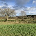 Photo of sunshine on a wintery day at Tweseldown, with open heathland and scattered trees