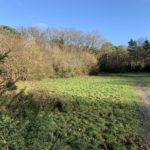 Photo of a rough path through grassland, on a bright winter day.