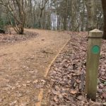Photo of a woodland path with waymarker (green dot on a post).
