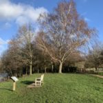 Photo of a bench looking out across the lake.