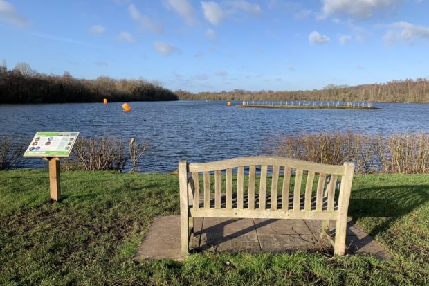 Photo of a bench looking out across the lake.