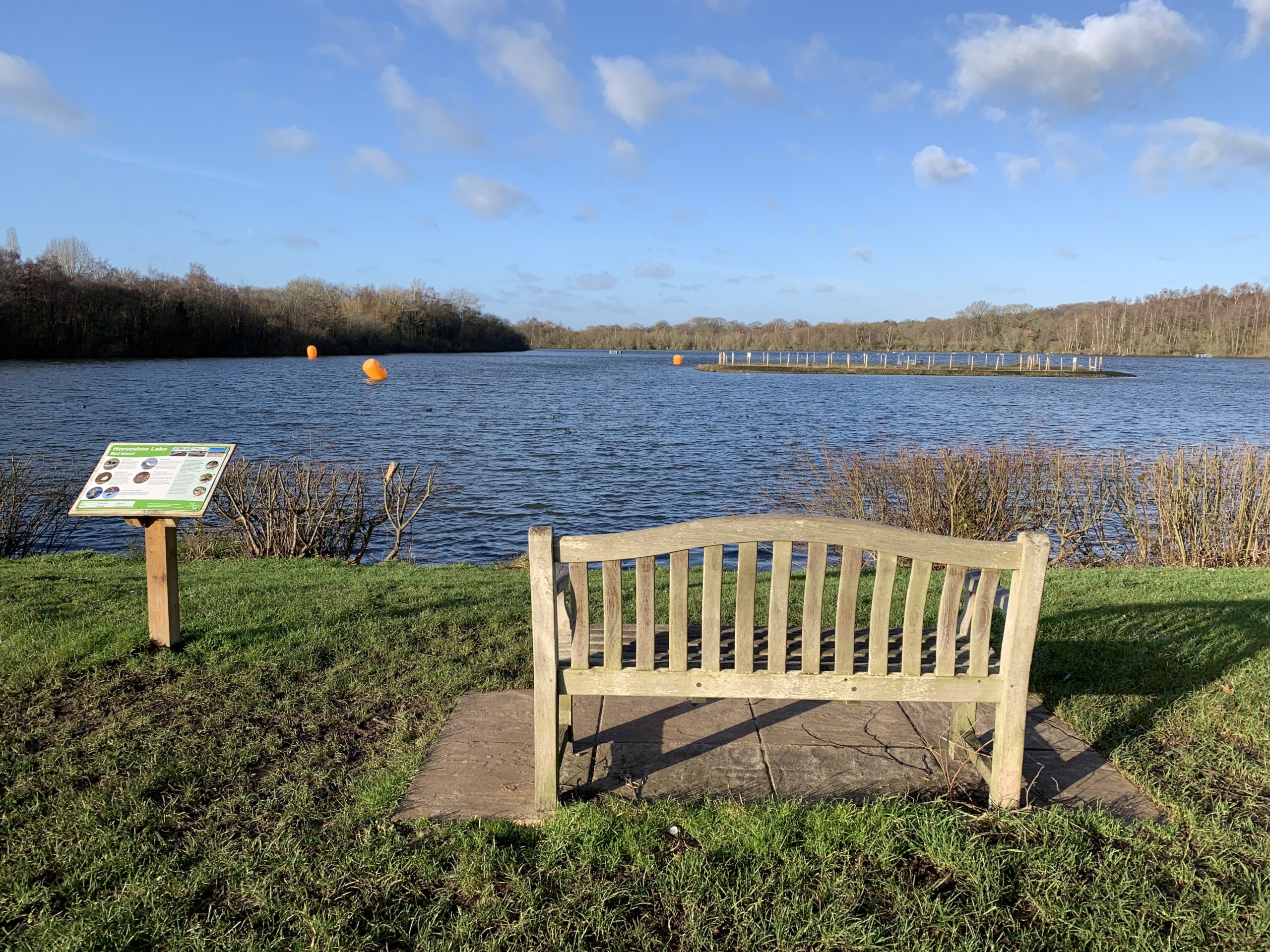 Escape to Horseshoe Lake:  Your Gateway to Nature's Playground