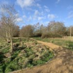 Photo of a surfaced path curving through a rough meadow.