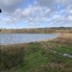 Photo of a lovely view across a lake from the side of a bird hide.