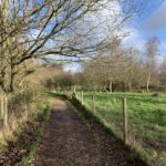 Photo of a path with fences either side.