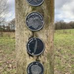 Photo of post with 3 plaques, Sweet Chestnut Leaf, Sycamore Leaf, Willow Leaf, Birch Leaf.