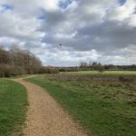 Photo of a gravel path leading off into the distance.