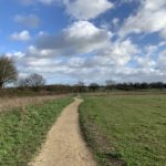 Photo of a gravel path snaking off into the distance, through a large meadow.