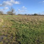 Photo of a muddy path in a winter meadow.