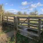 Photo of a gateway into a winter meadow.