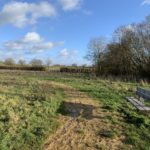 Photo of a muddy path beside a bench in a winter meadow.
