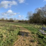 Photo of a muddy path beside a bench in a winter meadow.