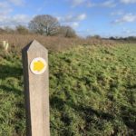 Photo of a waymarker, a yellow arrow on a white disk.