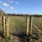 Photo of a gateway into a large meadow with Warfield Church in the distance.