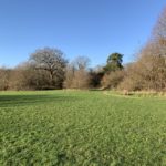 Photo of a large open area of grassland.