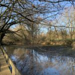 Photo of a large pond and a large viewing platform.