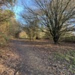 Photo of a rough path through scrubby woodland.