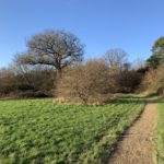 Photo of a rough path along the edge of a large open area of grassland.