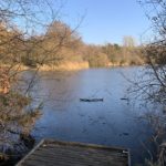 Photo of a frozen lake with warm winter sunshine catching the far side.