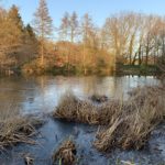 Photo of a frozen pond with warm winter sunshine.