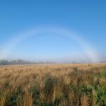 Photo of a fogbow against a blue sky - similar to a rainbow but caused by fog.