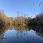 Photo of a pond in winter, with blue sky behind. Reflections give the photo a symmetrical appearance.