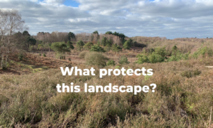 Photo of a beautiful heathland landscape with the words "What protects this landscape?"