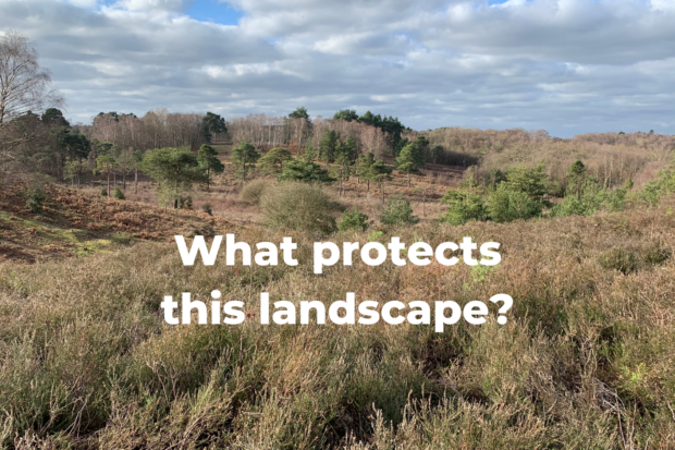 Photo of a beautiful heathland landscape with the words "What protects this landscape?"