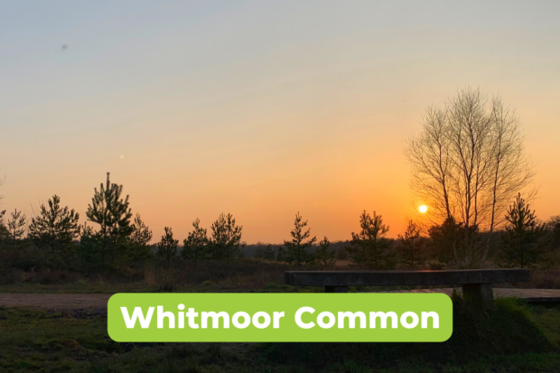 Scenic photo of Whitmoor Common at sunset.