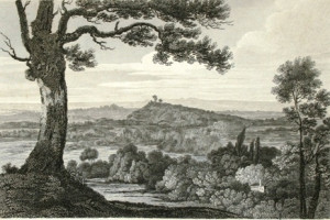 Old black & white engraving with a tree in the foreground and a sloping hill in the far distance