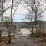 Photo of a frosty scene, with birch trees in the foreground, and countryside as far as the eye can see.