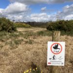Photo of a post with a sign attached. It reminds us to keep to paths to protect the birds.