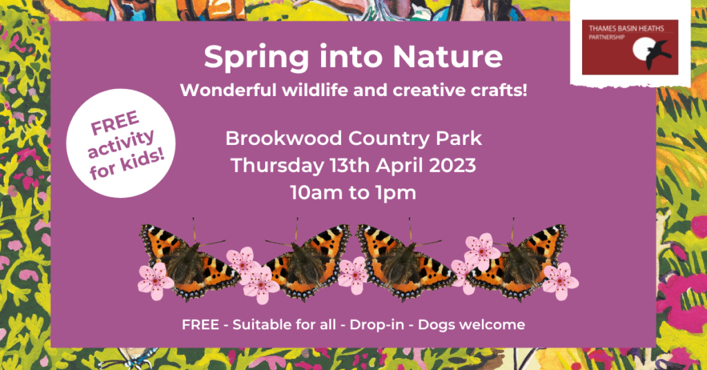Attractive poster with drawings of butterflies to advertise the event.