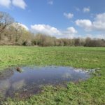 Photo of a large field, and a large puddle!