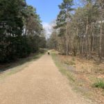 Photo of a two people cycling along a wide gravel track. Trees either side.
