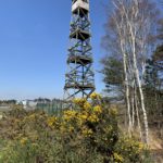 Photo of a historic wooden tower. Tall and thin with an observation station at the top.